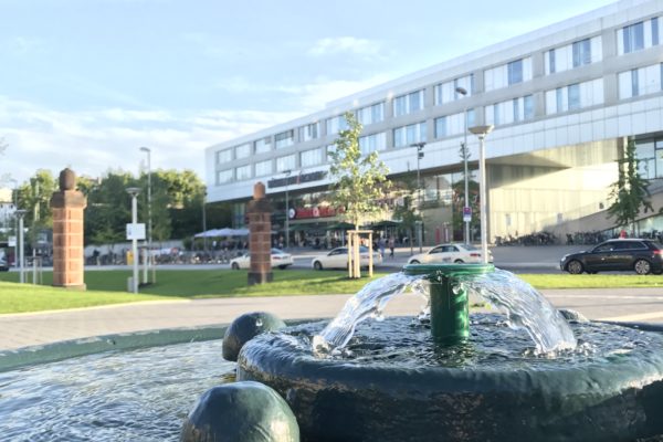 Bilker Pferdetränke